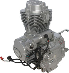 Complete Engine - Vertical 250cc Engine, Manual Shift, Electric Start